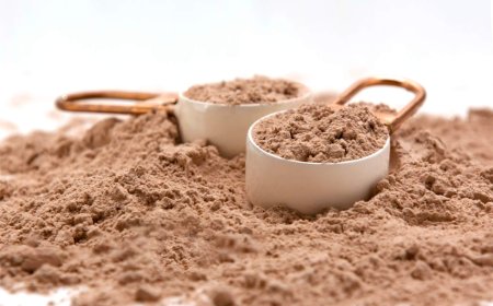 Meal Replacement Powder Manufacturing Plant Report 2025: Investment Opportunities and Industry Trends