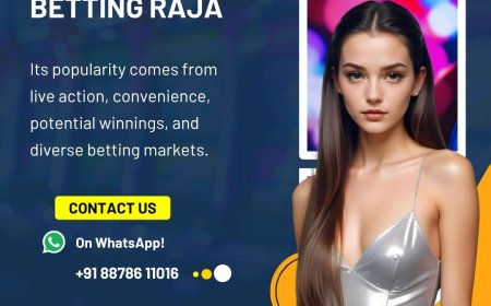 Predicting the impact of future Indian online‑betting regulations on Betting Raja