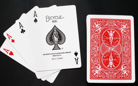 Top Features of Laser247: Why It’s India’s Favorite Betting Platform