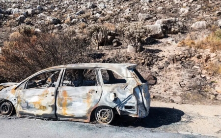 From Scrap to Salvage: How Car Removal Companies Help Keep the Planet Green