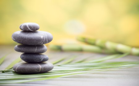Healing from Within: Patti Gilliano’s Approach to Holistic Wellness