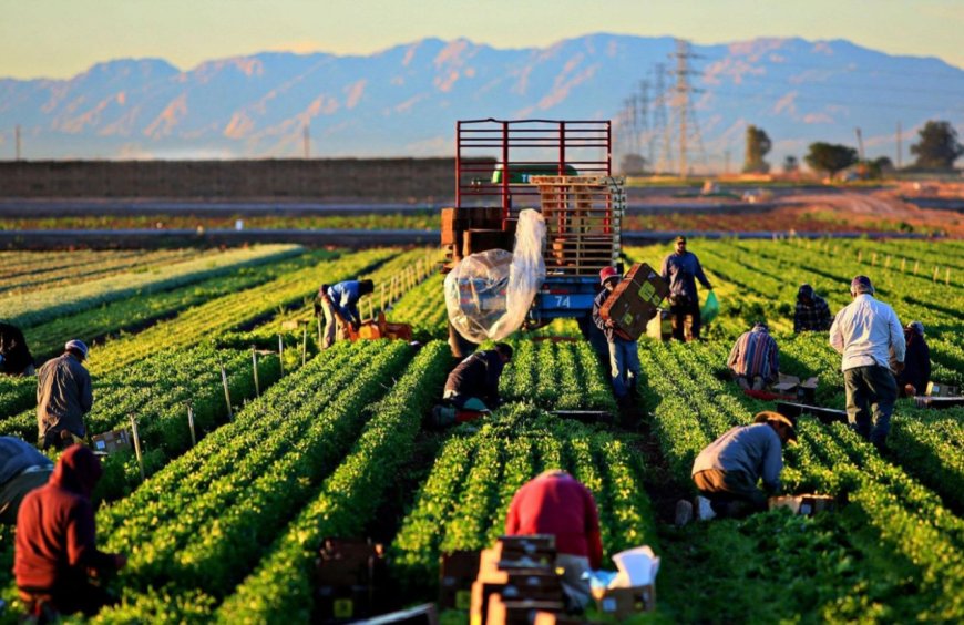How to Find the Latest Farm Jobs with Visa Sponsorship in 2025