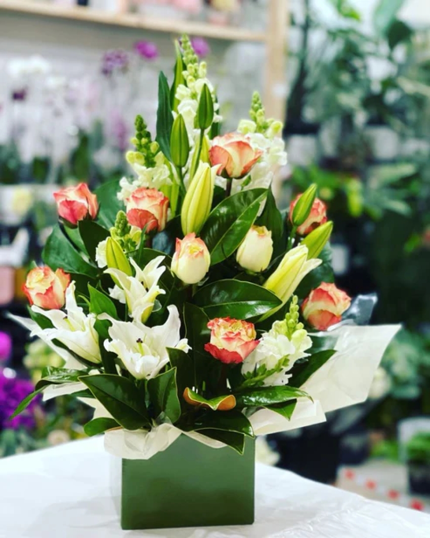 Why Locals Choose Flora Plant on Chapel as Their Go-To Florist in Hawthorn