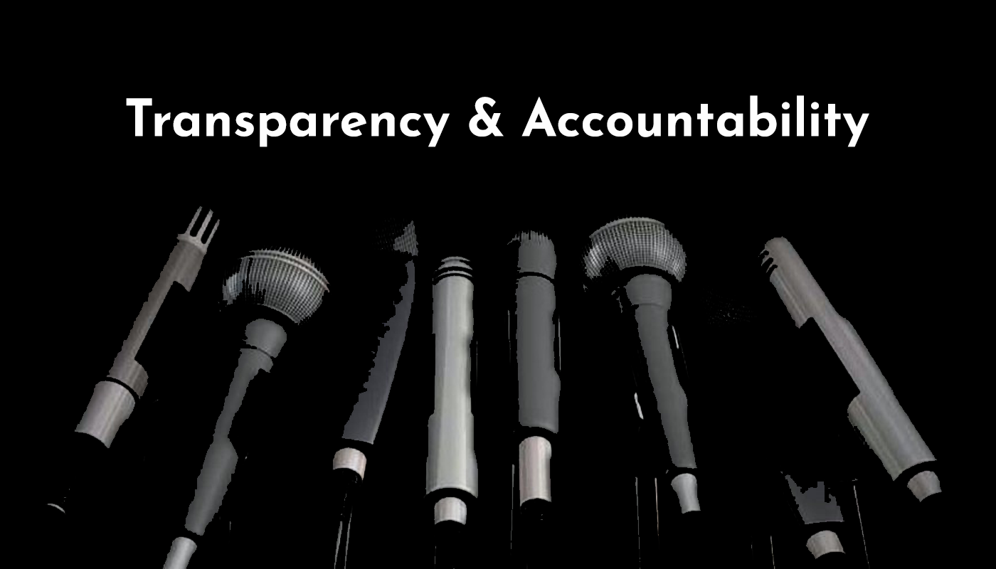 Political Transparency Strategies